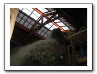 Emilie & Friends at Great Wolf Lodge - 06-28-10 120