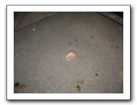 Alex and Friends 07-13-10 006