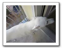 Vicki's B-Day in Denver - Nov 2010 587