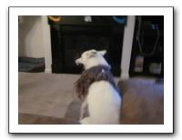 Vicki's B-Day in Denver - Nov 2010 793