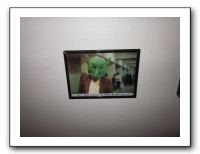 Vicki's B-Day in Denver - Nov 2010 797