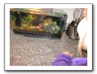 Vicki's B-Day in Denver - Nov 2010 806