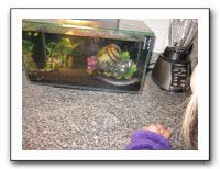 Vicki's B-Day in Denver - Nov 2010 807