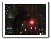 Vicki's B-Day in Denver - Nov 2010 824