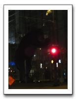 Vicki's B-Day in Denver - Nov 2010 825