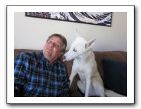 Vicki's B-Day in Denver - Nov 2010 602