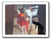 Vicki's B-Day in Denver - Nov 2010 608