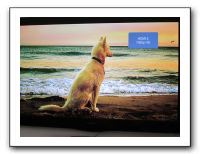 Vicki's B-Day in Denver - Nov 2010 609