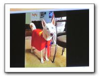 Vicki's B-Day in Denver - Nov 2010 610