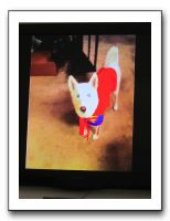 Vicki's B-Day in Denver - Nov 2010 615