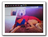 Vicki's B-Day in Denver - Nov 2010 616