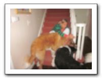 Family and Friends - Dec 2010 034