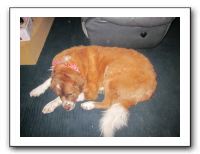 Family and Friends - Dec 2010 040