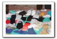 Jamie's Styling - Sept 2010 240