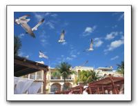 Spring Break in Cancun Mexico - March 2011 247