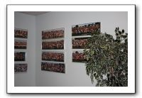 Jamie and Alex's Graduate Class Photos at SM East 036