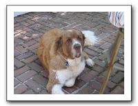 Family and Friends - June 2011 033