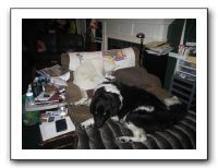 Family Dinner - 12-21-11 030