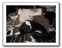 Family Dinner - 12-21-11 031