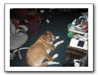 Family Dinner - 12-21-11 032