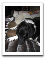 Family Dinner - 12-21-11 033