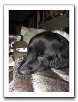 Family Dinner - 12-21-11 034